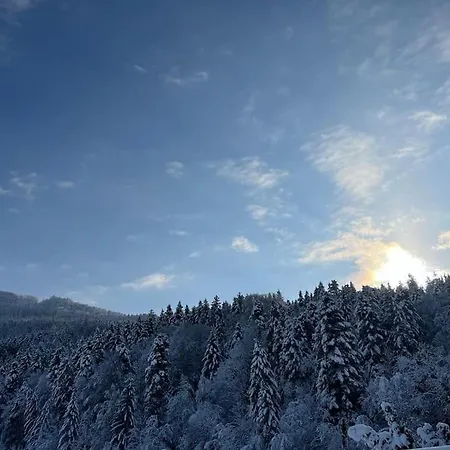 度假居 Tanjas Gemuetliches Haus Am Mondsee