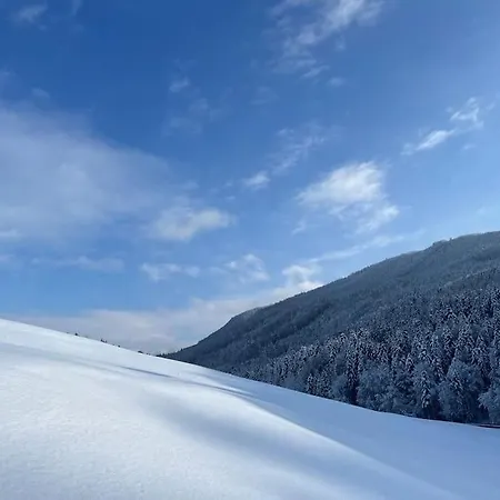 Tanjas Gemuetliches Haus Am Mondsee