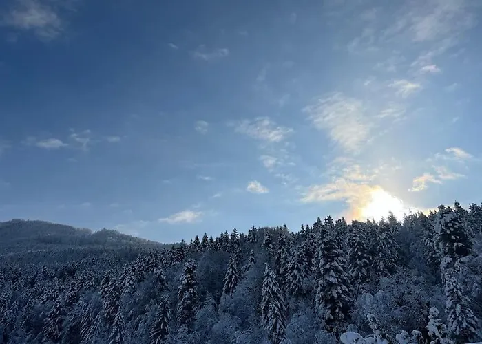 Дом отдыха Tanjas Gemuetliches Haus Am Mondsee