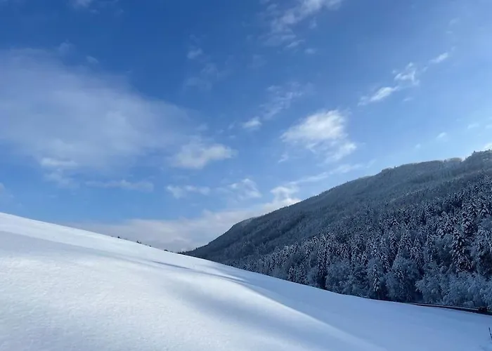 Tanjas Gemuetliches Haus Am Mondsee